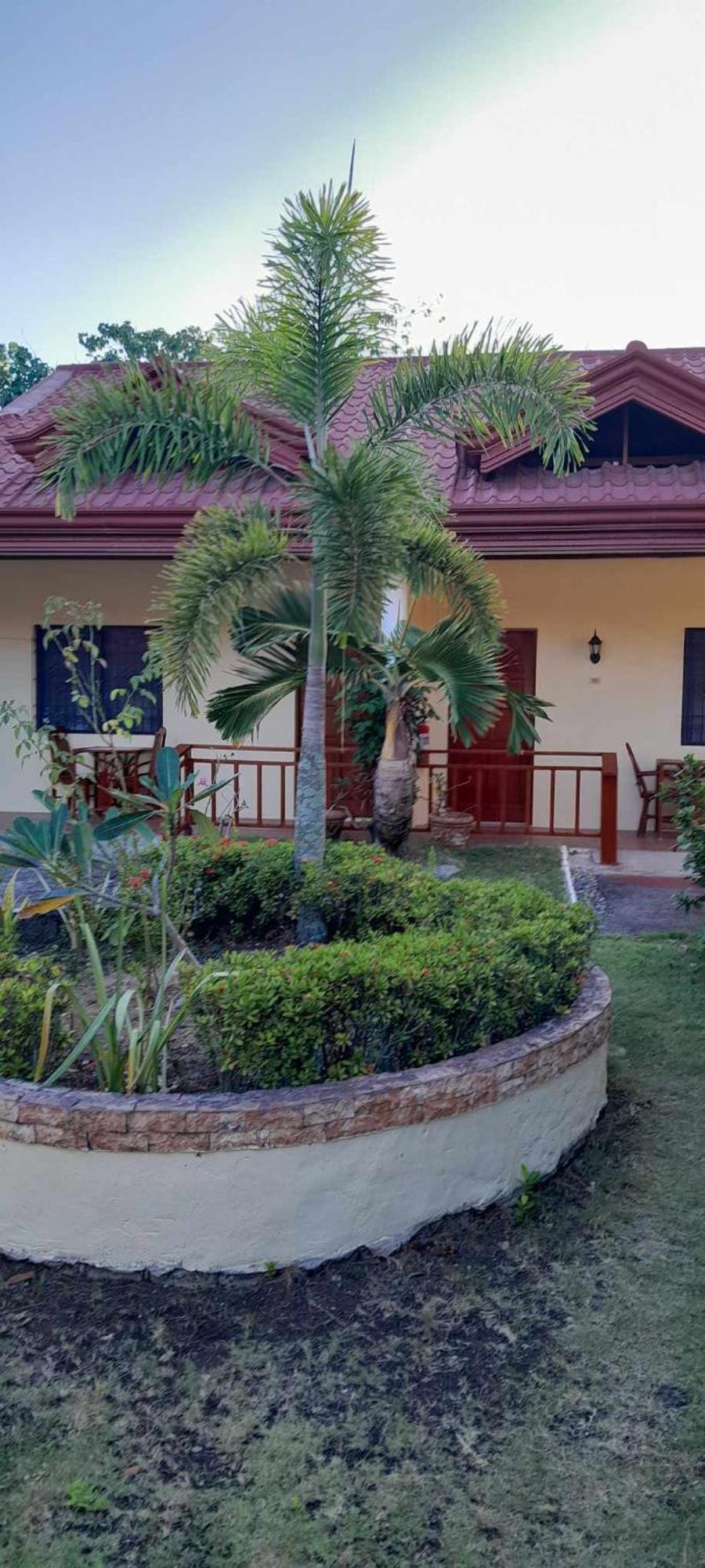 Bonita Oasis Beach Resort Moalboal Zewnętrze zdjęcie